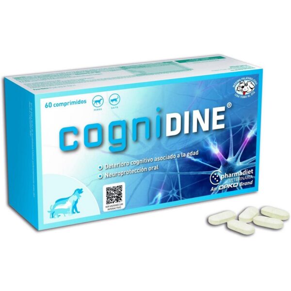 Cognidine – 60 Comprimidos