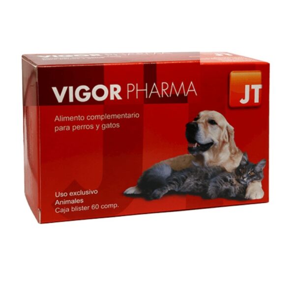 JT Vigor Pharma 60 comprimidos