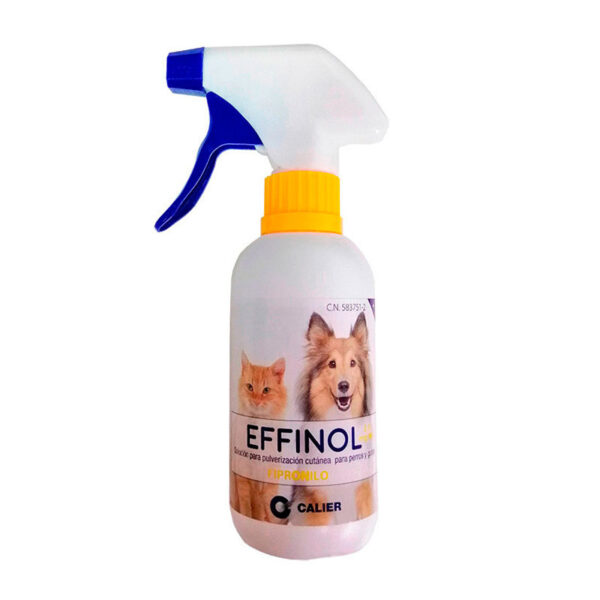 Effinol Spray 2,5 Mg/ Ml, 250 Ml